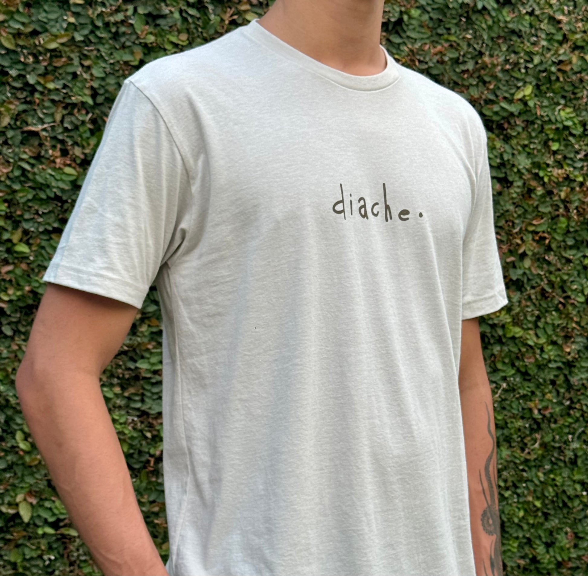 Diache