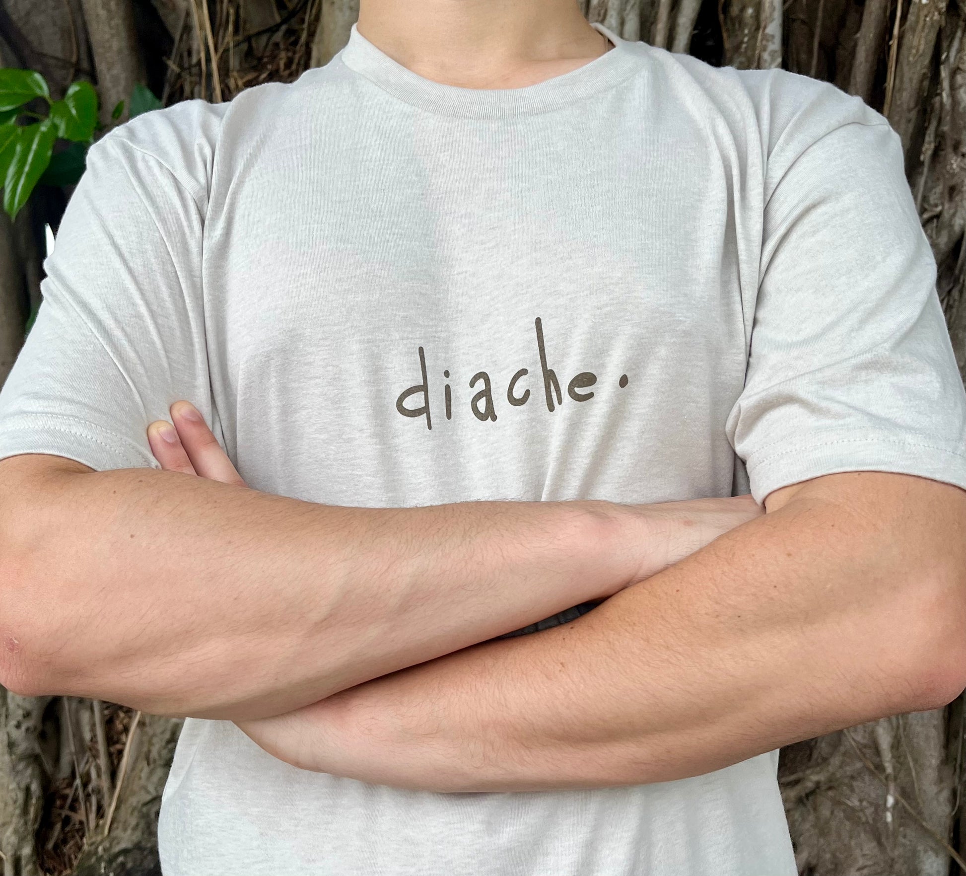 Diache